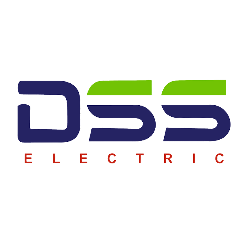 DSS